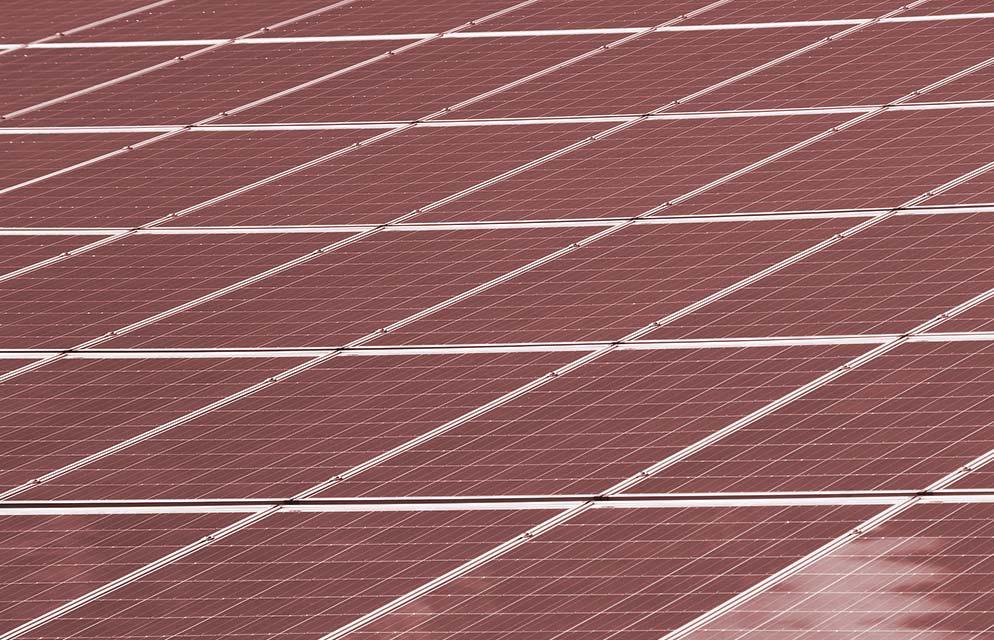 SUNGROW PROVIDES INDIAN UNDERGRADUATES WITH SOLAR RELATED OPEN COURSES