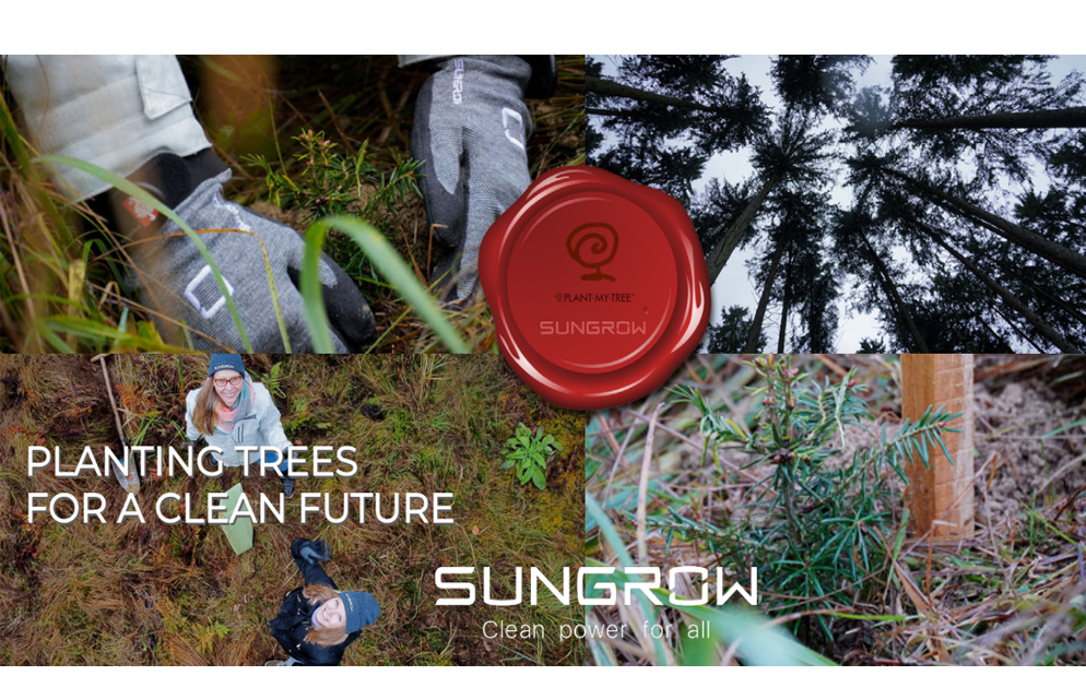 Sungrow Is Following The Way For Green Christmas Campaign: Plant Trees For A Cleaner Future | SUNGROW