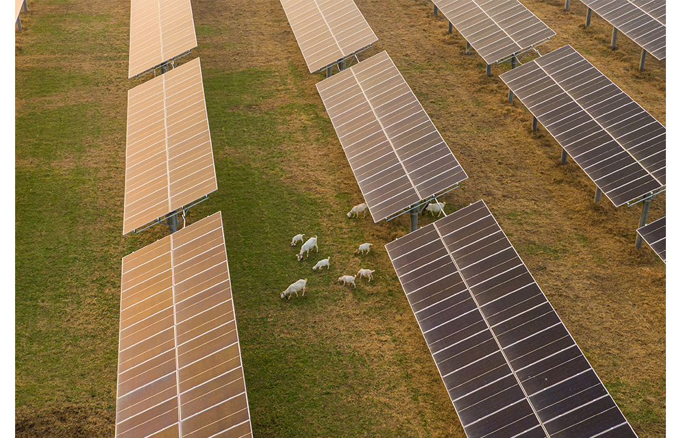 Sungrow Wins Enterprise for Best Practices in Achieving Sustainable Development Goals in 2021 Awarded by UNGC | SUNGROW