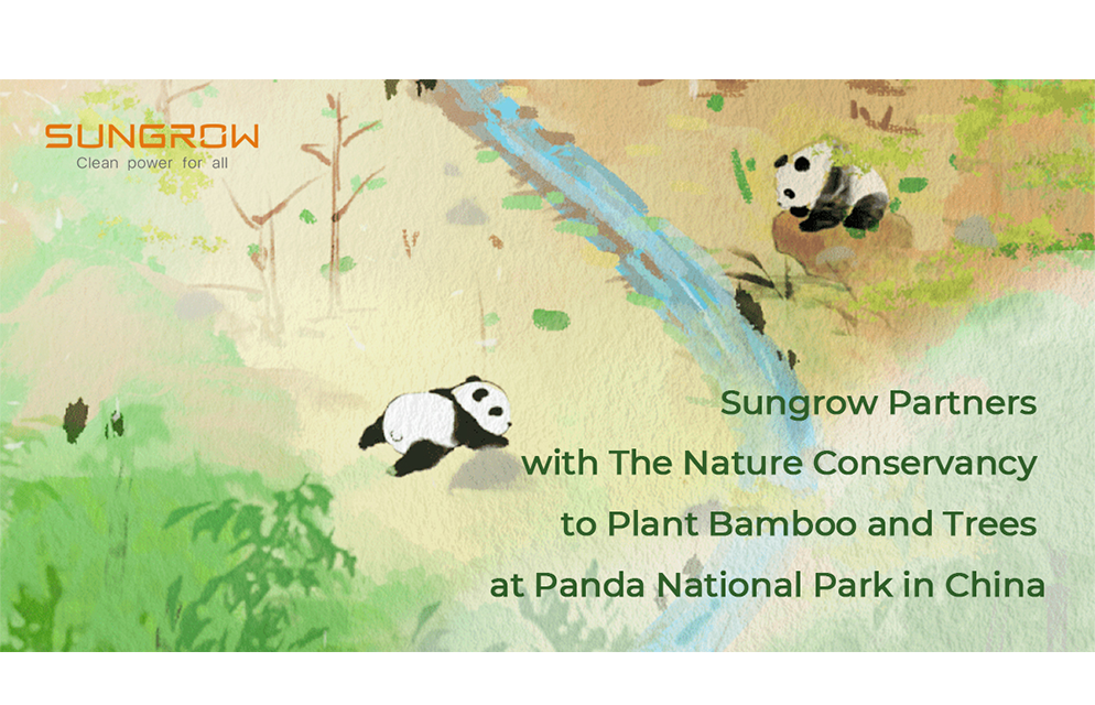 Sungrow Partners with The Nature Conservancy to Plant Bamboo and Trees at Panda National Park in China | SUNGROW