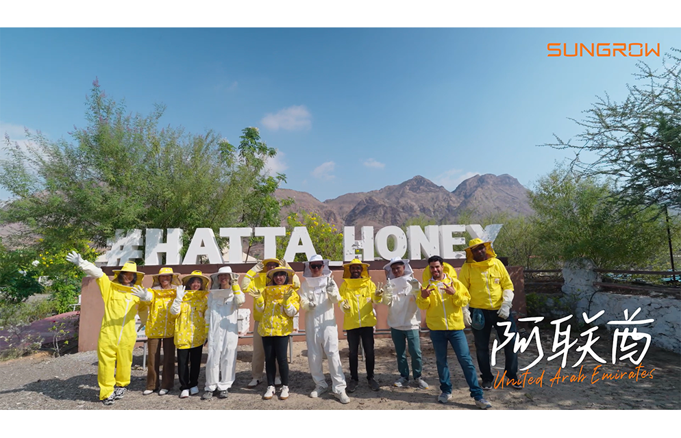 Sungrow Volunteer Week 2023: Go For Nature