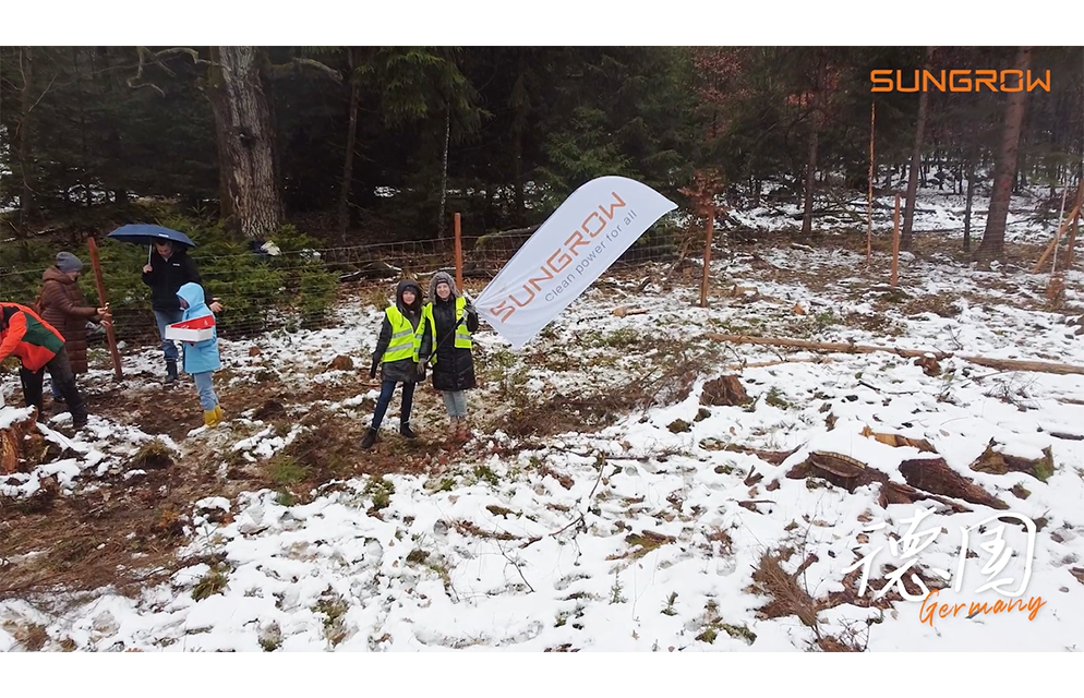 Sungrow Volunteer Week 2023: Go For Nature