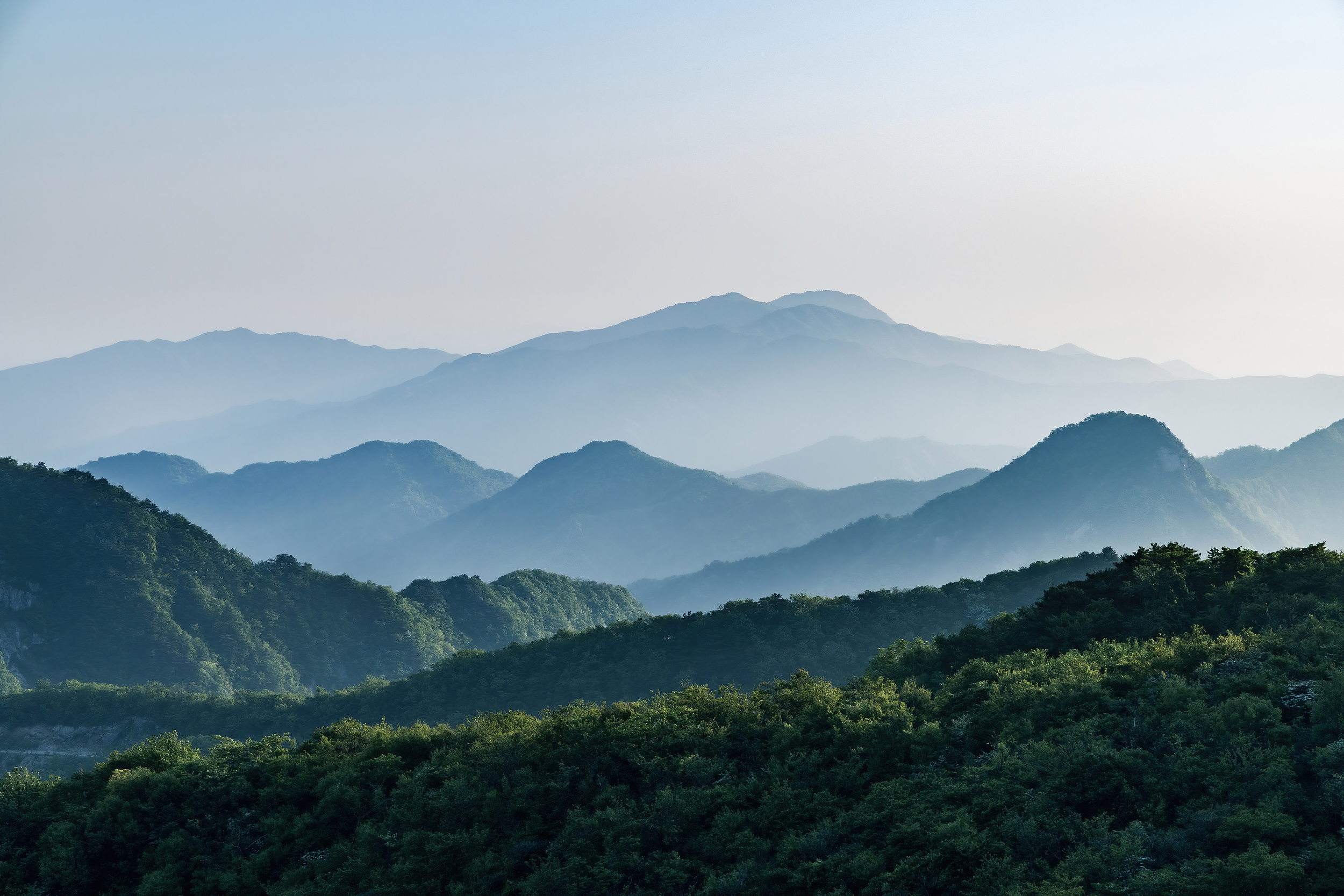 ESG Sustainability Reports