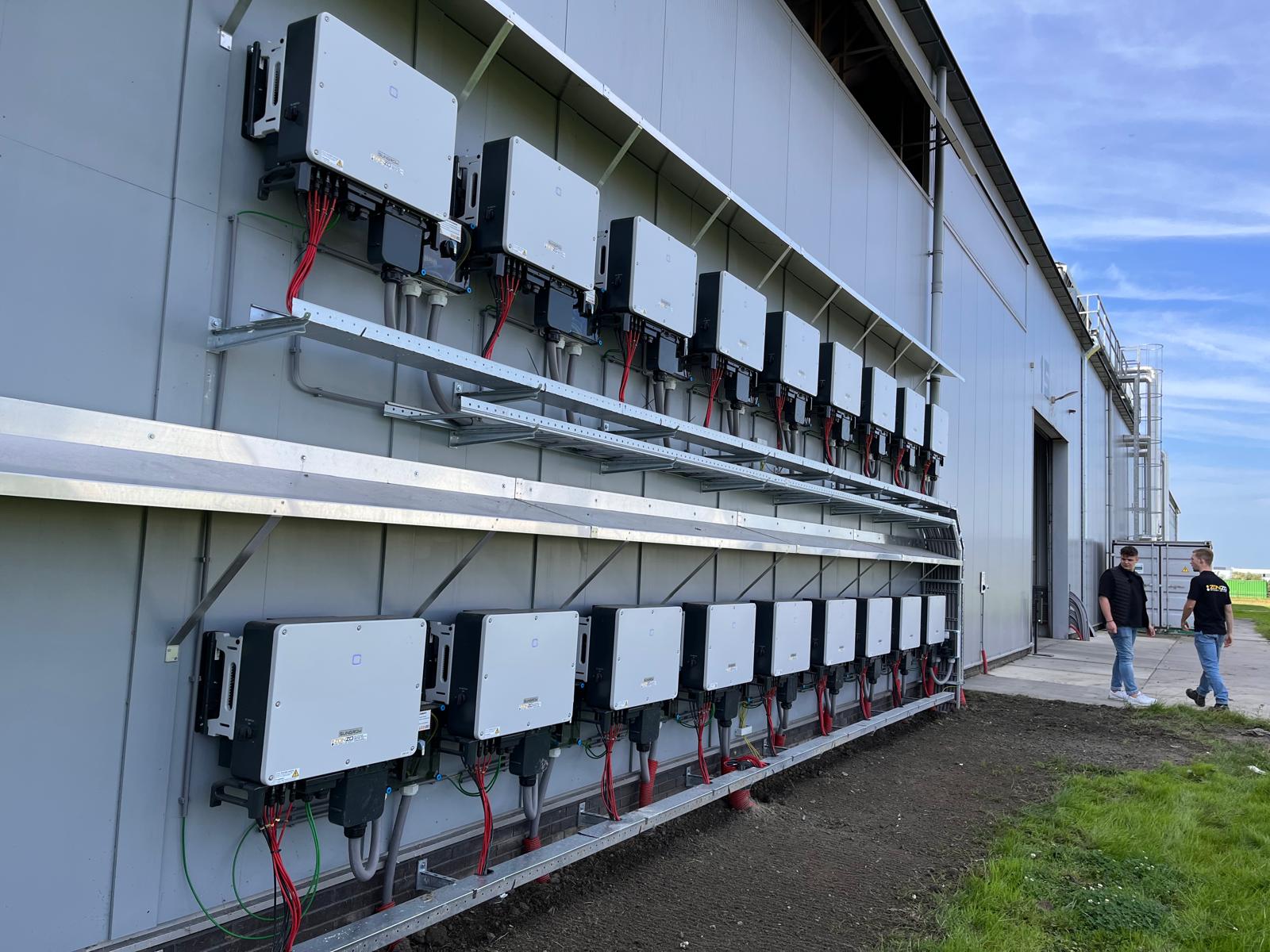 Ronico – Advancing Sustainable Tulip Production through Solar Energy