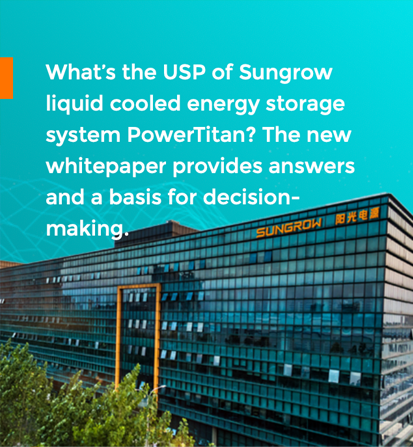 PowerTitan
Energy Storage System
White Paper