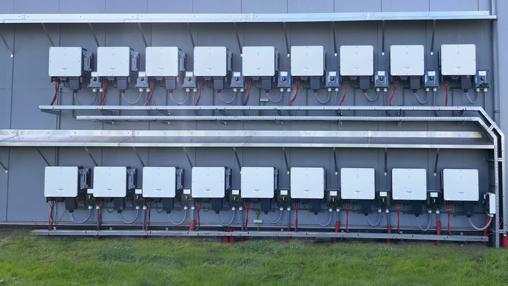 Sustainable Energy for Blooming Futures-Sungrow Powers the World’s Leading Tulip Brand Ronico in the Netherlands