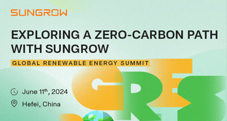 Global Renewable Energy Summit 2024