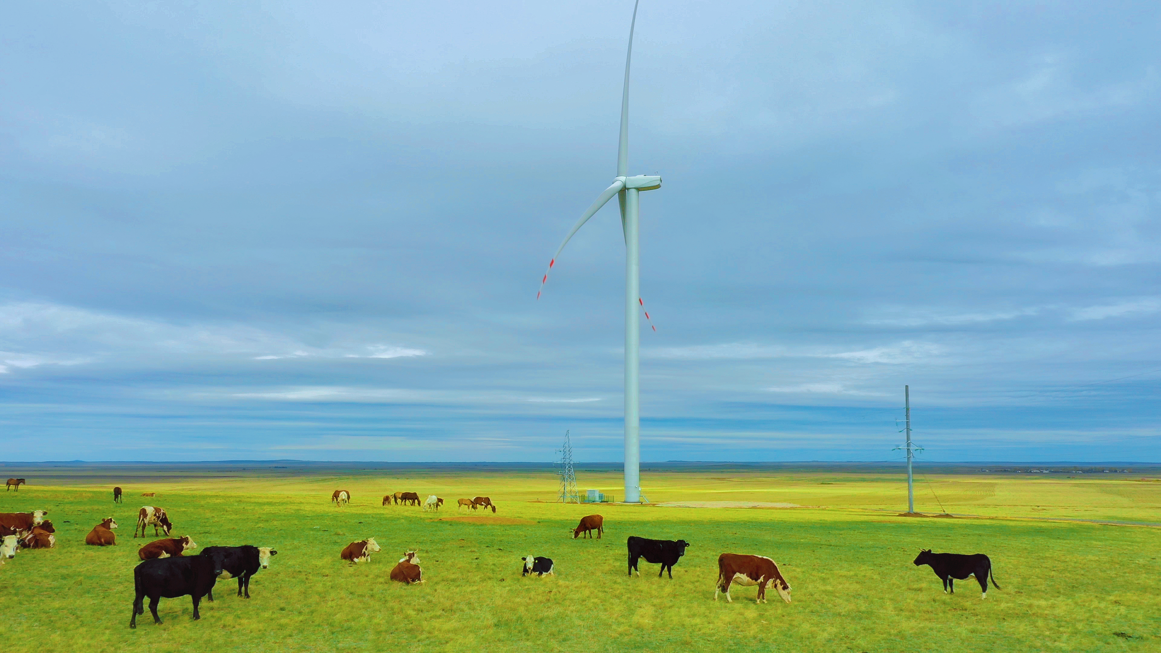 sungrow-renewables