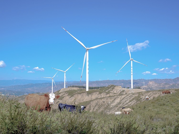 Wind Solutions