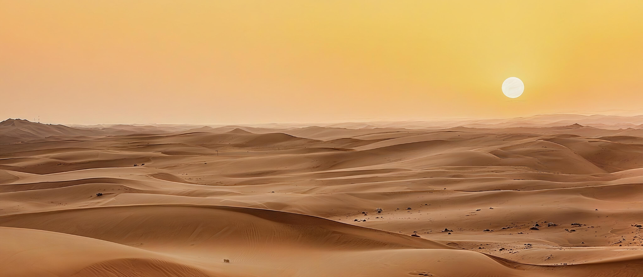The Desert Blooms