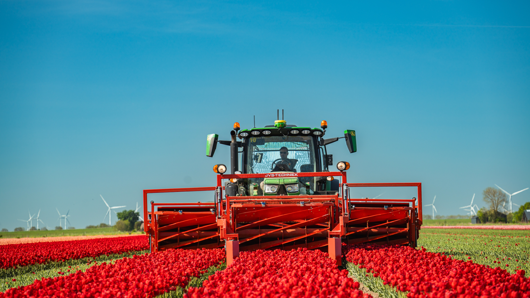 Sustainable Energy for Blooming Futures-Sungrow Powers the World’s Leading Tulip Brand Ronico in the Netherlands