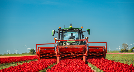 Sustainable Energy for Blooming Futures-Sungrow Powers the World’s Leading Tulip Brand Ronico in the Netherlands